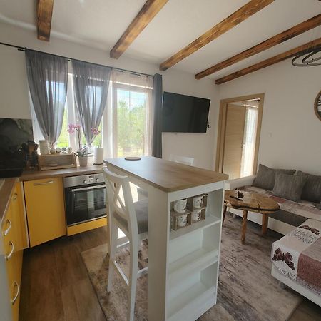 Cattleya Apartment Novigrad Istria Exterior foto